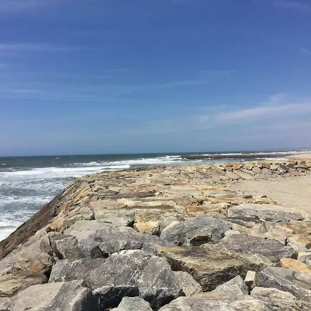 Oceanos T *